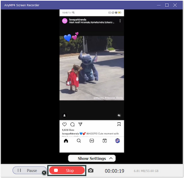 Stop Recording And DisconnectC