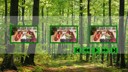 The Way Through the Woods Thumbnail