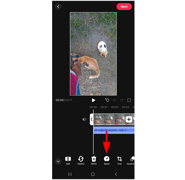 Tiktok Speed Option