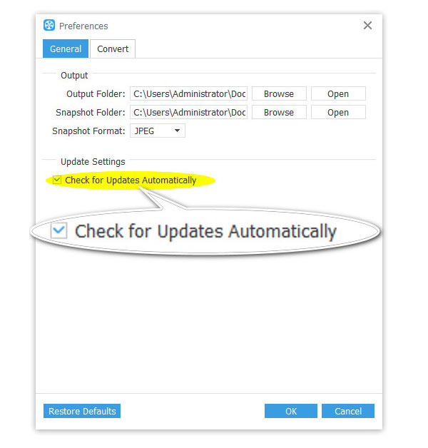 Update Video Converter Automatically