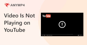 Video is Not Playing on YouTuBe