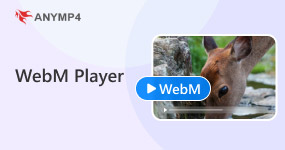 WEBM Players