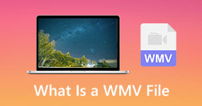 What is a WMV File