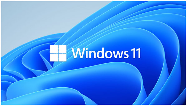 Windows 11 Logo