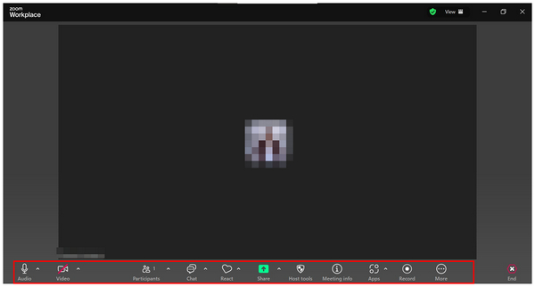 Zoom Meeting Adjustments