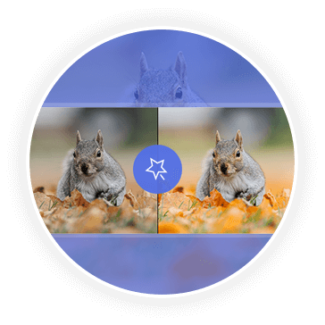 Adjust Effect & Filter