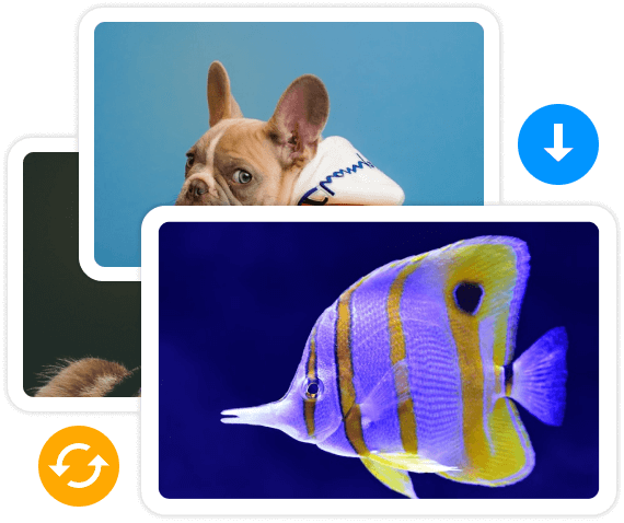 Batch Converter Download