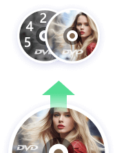 Support Any DVD Input